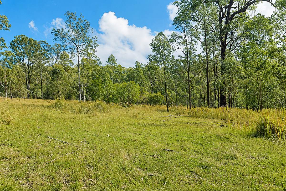 Lot 105 97 Long Gully Road, Drake For Sale by Farmbuy.com - image 7
