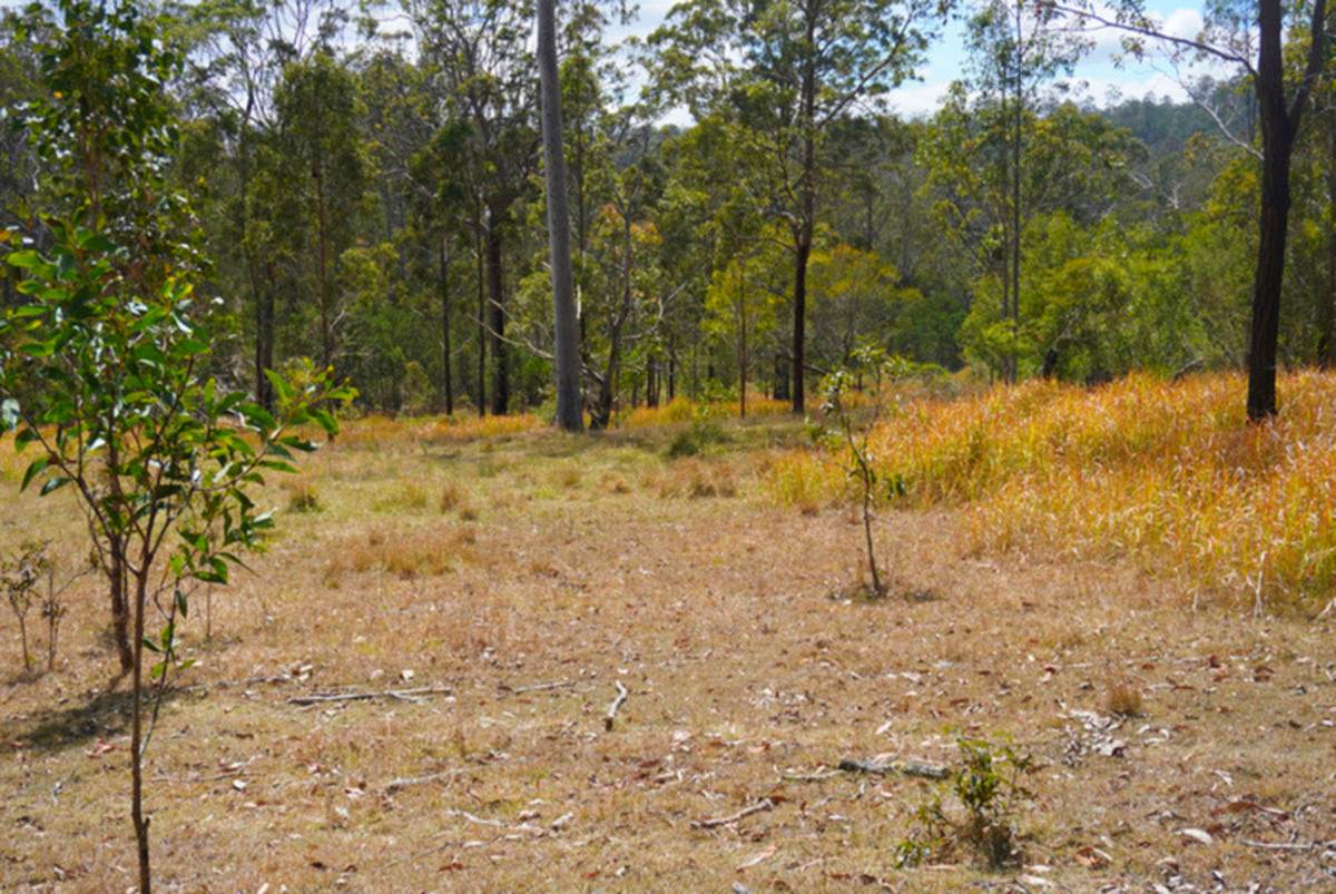 Lot 105 97 Long Gully Road, Drake For Sale by Farmbuy.com - image 24