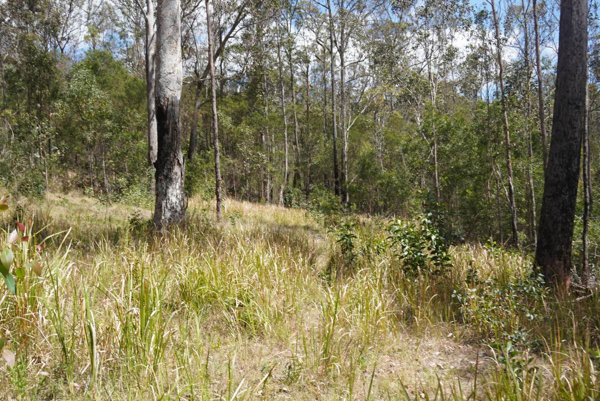 Lot 105 97 Long Gully Road, Drake For Sale by Farmbuy.com - image 22