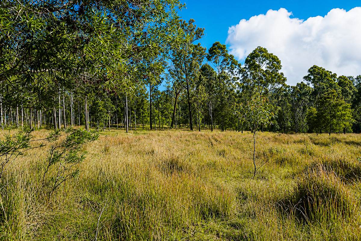 Lot 105 97 Long Gully Road, Drake For Sale by Farmbuy.com - image 14