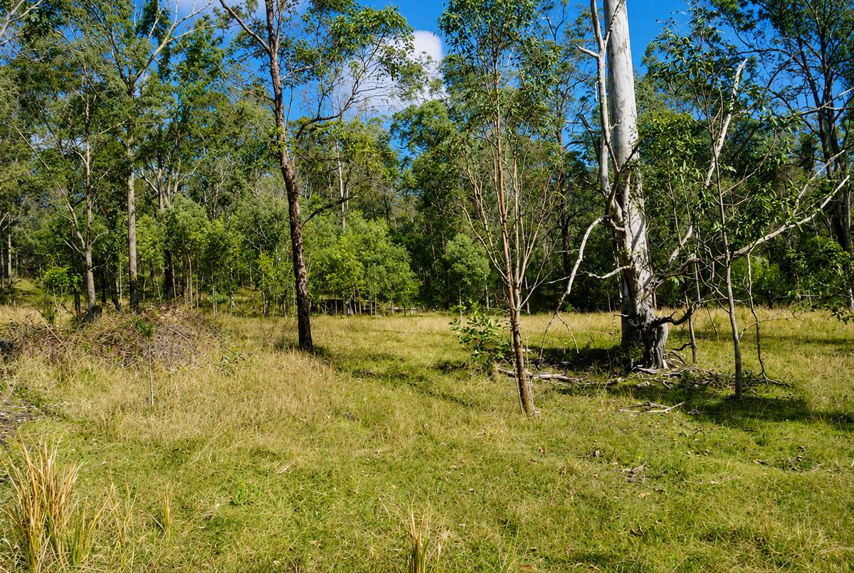 Lot 105 97 Long Gully Road, Drake For Sale by Farmbuy.com - image 23