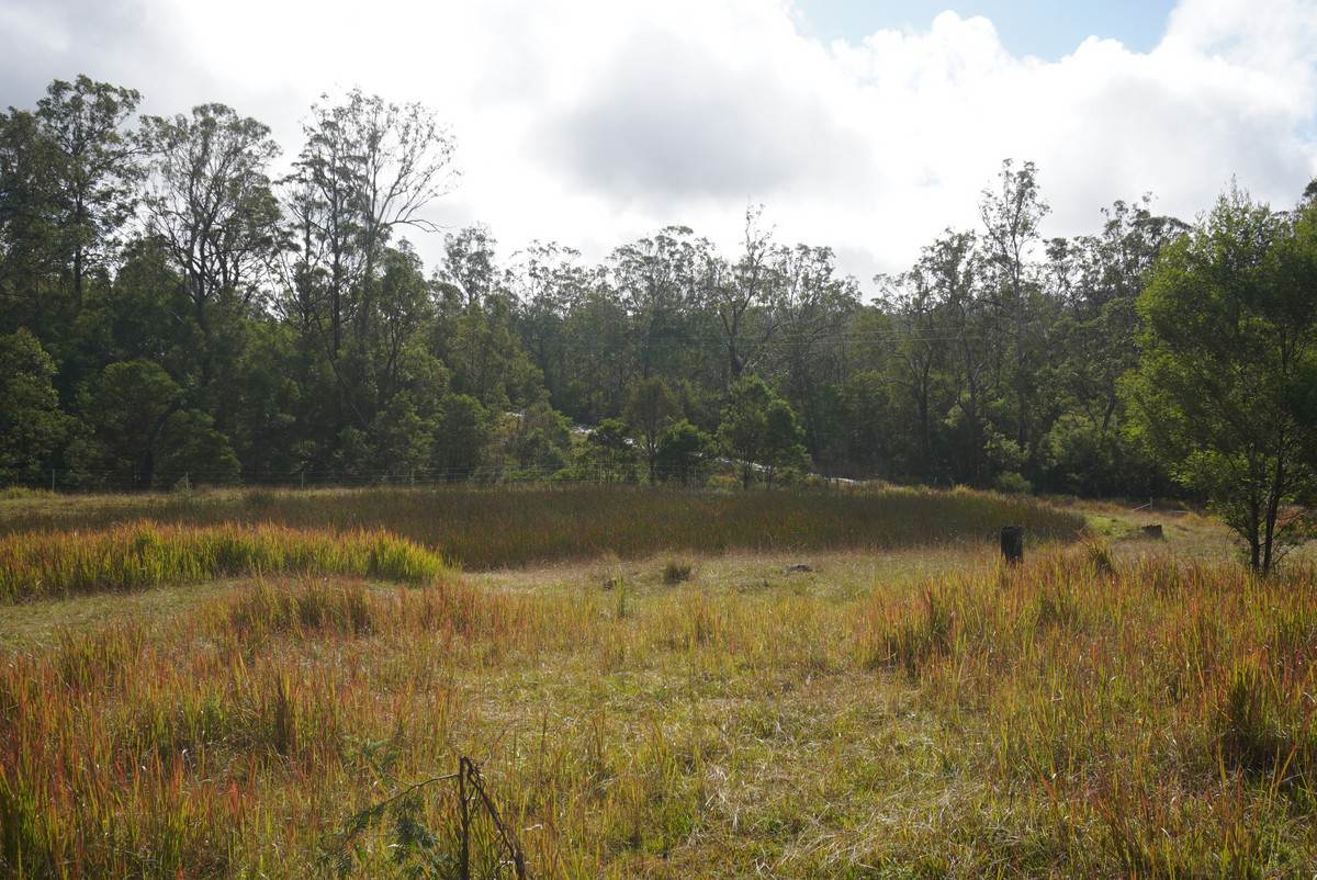 Lot 105 97 Long Gully Road, Drake For Sale by Farmbuy.com - image 18