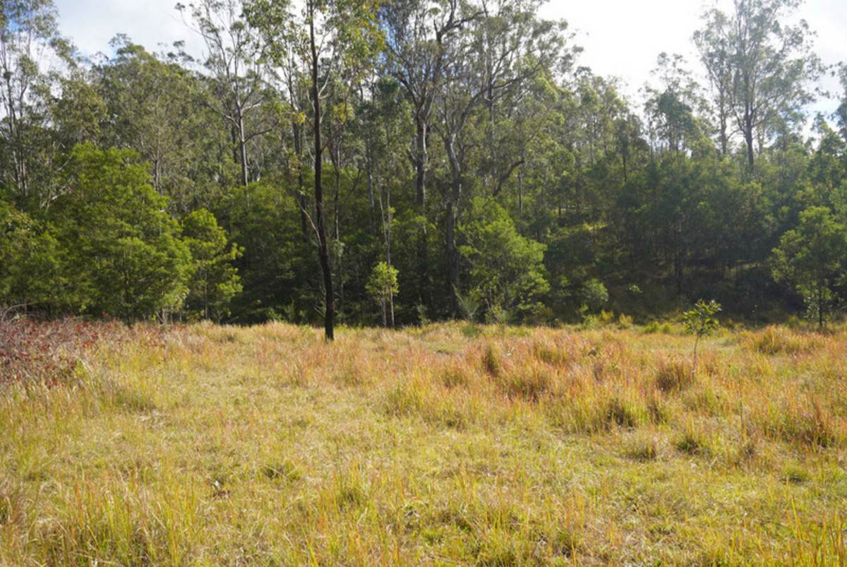 Lot 105 97 Long Gully Road, Drake For Sale by Farmbuy.com - image 16