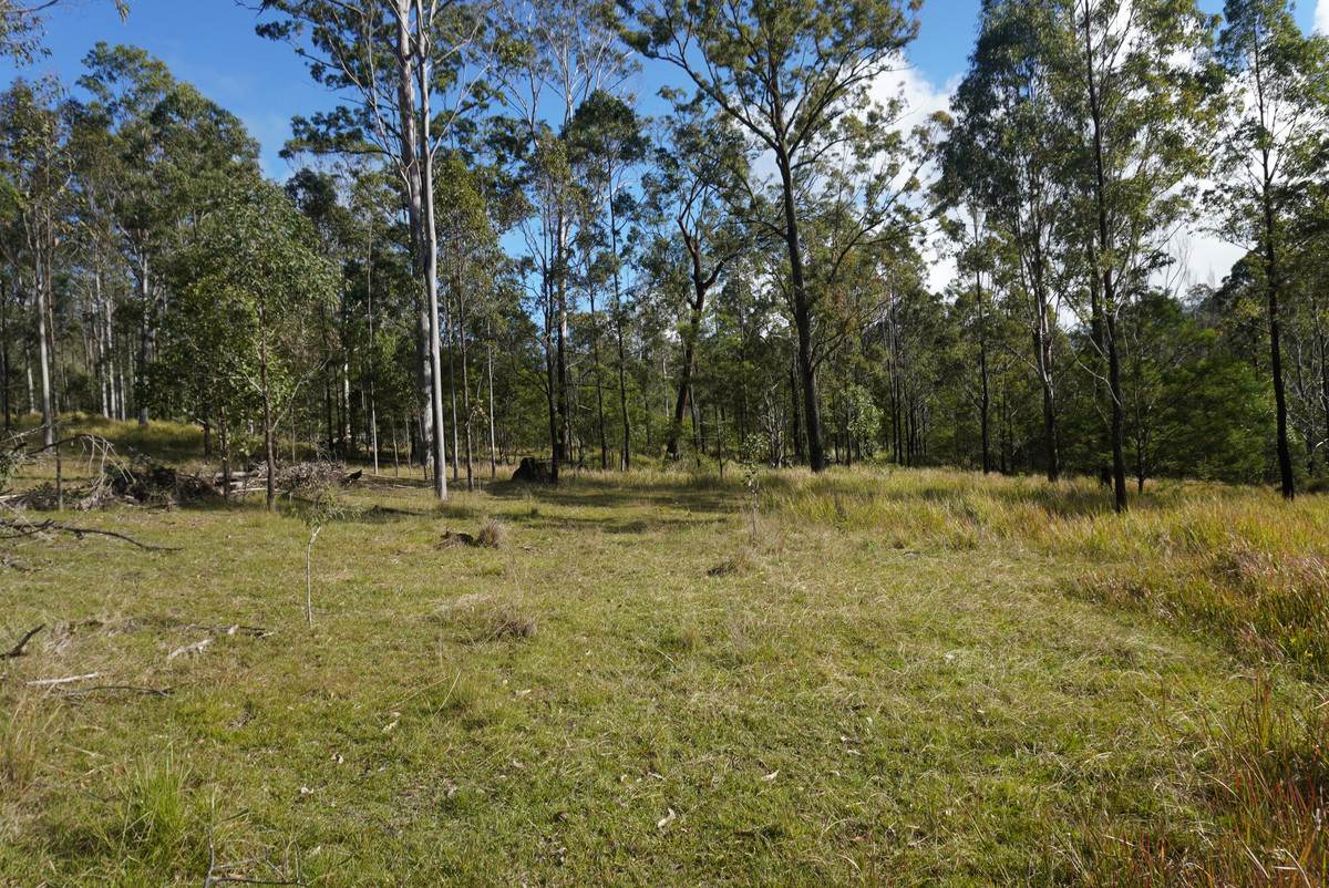 Lot 105 97 Long Gully Road, Drake For Sale by Farmbuy.com - image 6