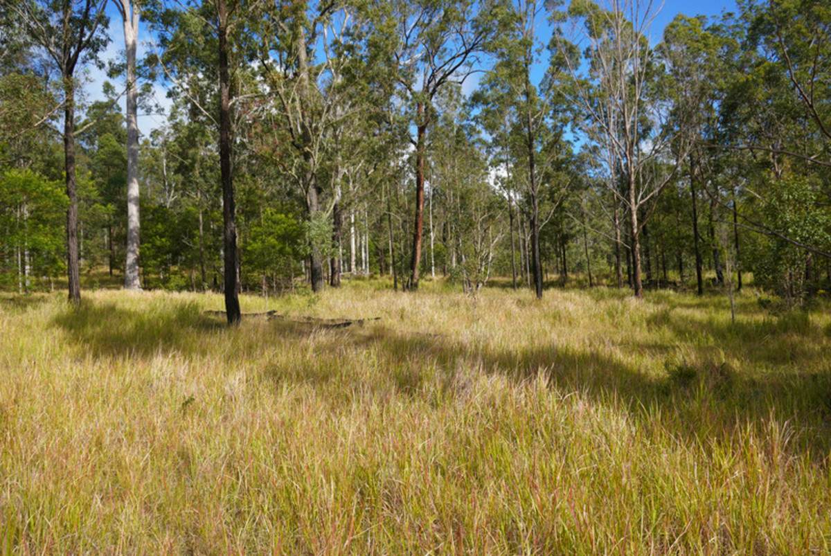 Lot 105 97 Long Gully Road, Drake For Sale by Farmbuy.com - image 20