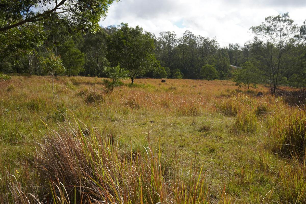 Lot 105 97 Long Gully Road, Drake For Sale by Farmbuy.com - image 21