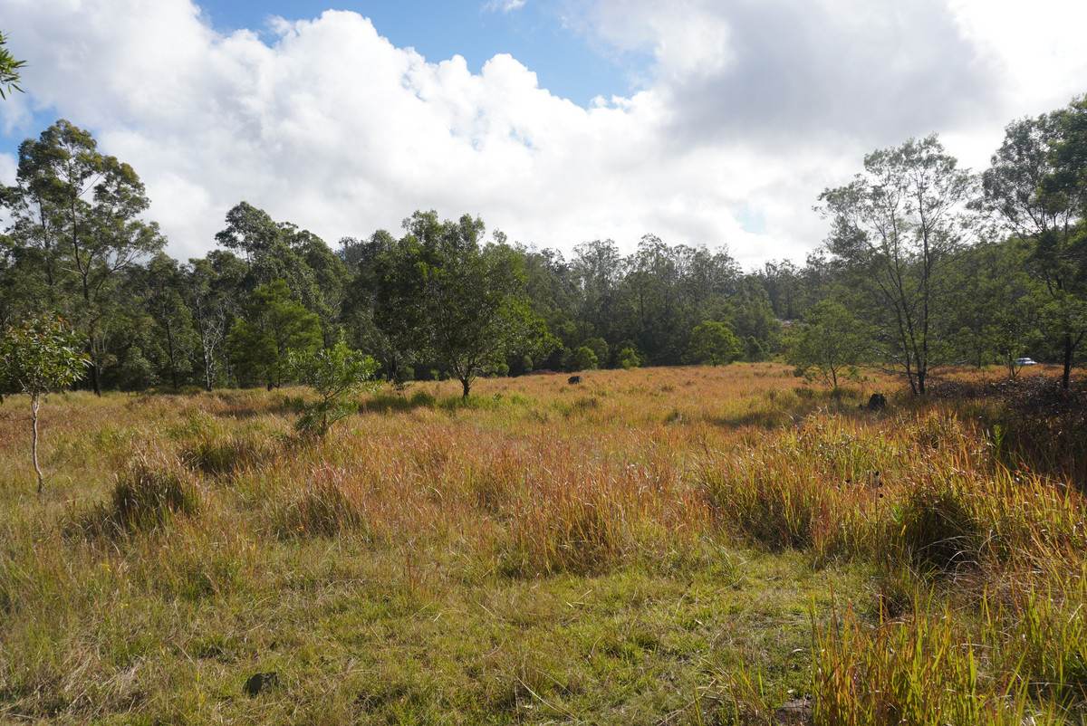 Lot 105 97 Long Gully Road, Drake For Sale by Farmbuy.com - image 19