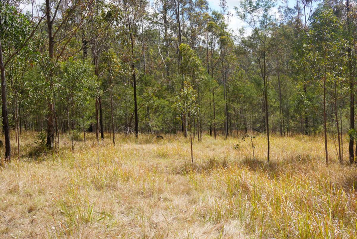Lot 105 97 Long Gully Road, Drake For Sale by Farmbuy.com - image 21