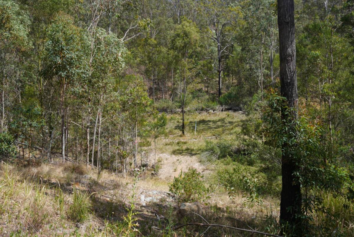 Lot 105 97 Long Gully Road, Drake For Sale by Farmbuy.com - image 3