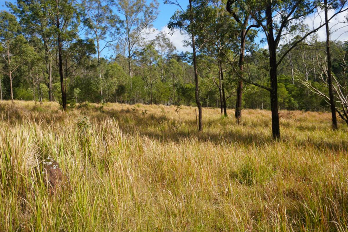 Lot 105 97 Long Gully Road, Drake For Sale by Farmbuy.com - image 15