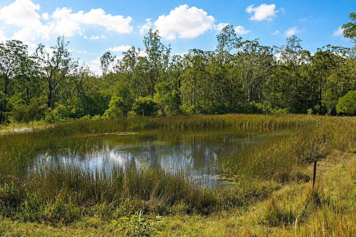 Lot 105 97 Long Gully Road, Drake For Sale by Farmbuy.com - image 2