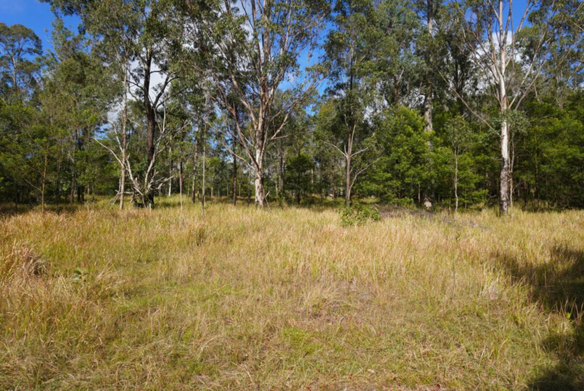 Lot 105 97 Long Gully Road, Drake For Sale by Farmbuy.com - image 5