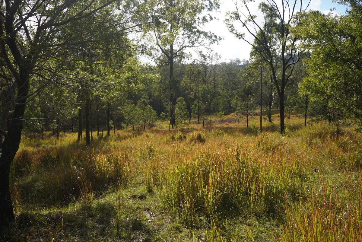 Lot 105 97 Long Gully Road, Drake For Sale by Farmbuy.com - image 12