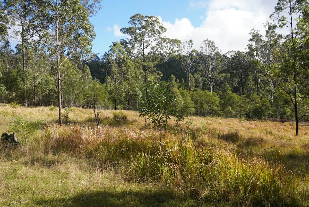 Lot 105 97 Long Gully Road, Drake For Sale by Farmbuy.com - image 13