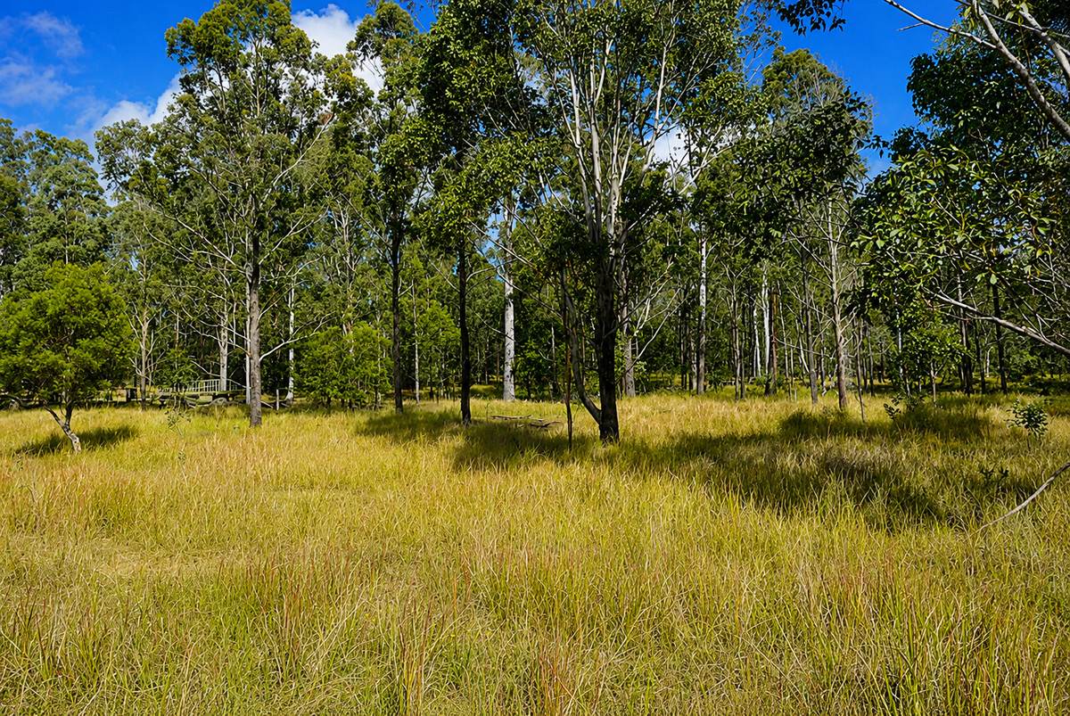 Lot 105 97 Long Gully Road, Drake For Sale by Farmbuy.com - image 4