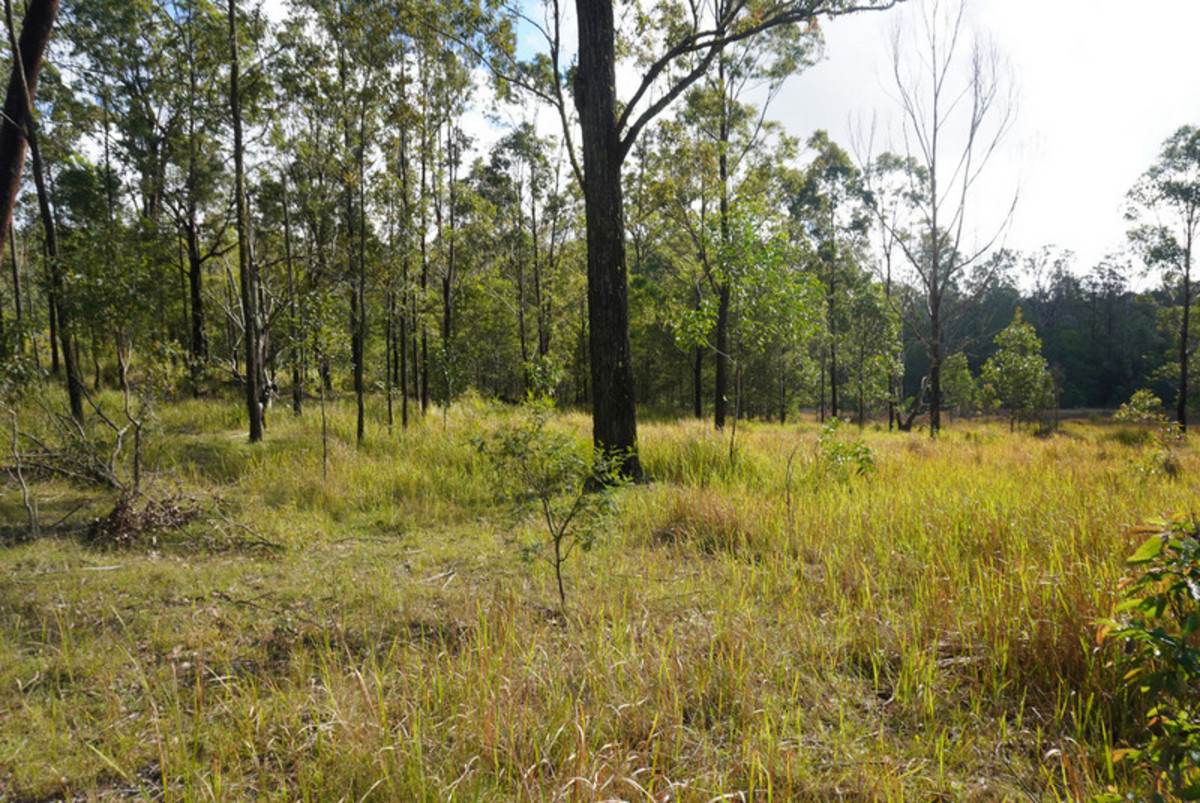 Lot 105 97 Long Gully Road, Drake For Sale by Farmbuy.com - image 9