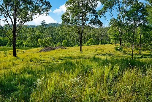 Lot 105 97 Long Gully Road, Drake NSW 2469