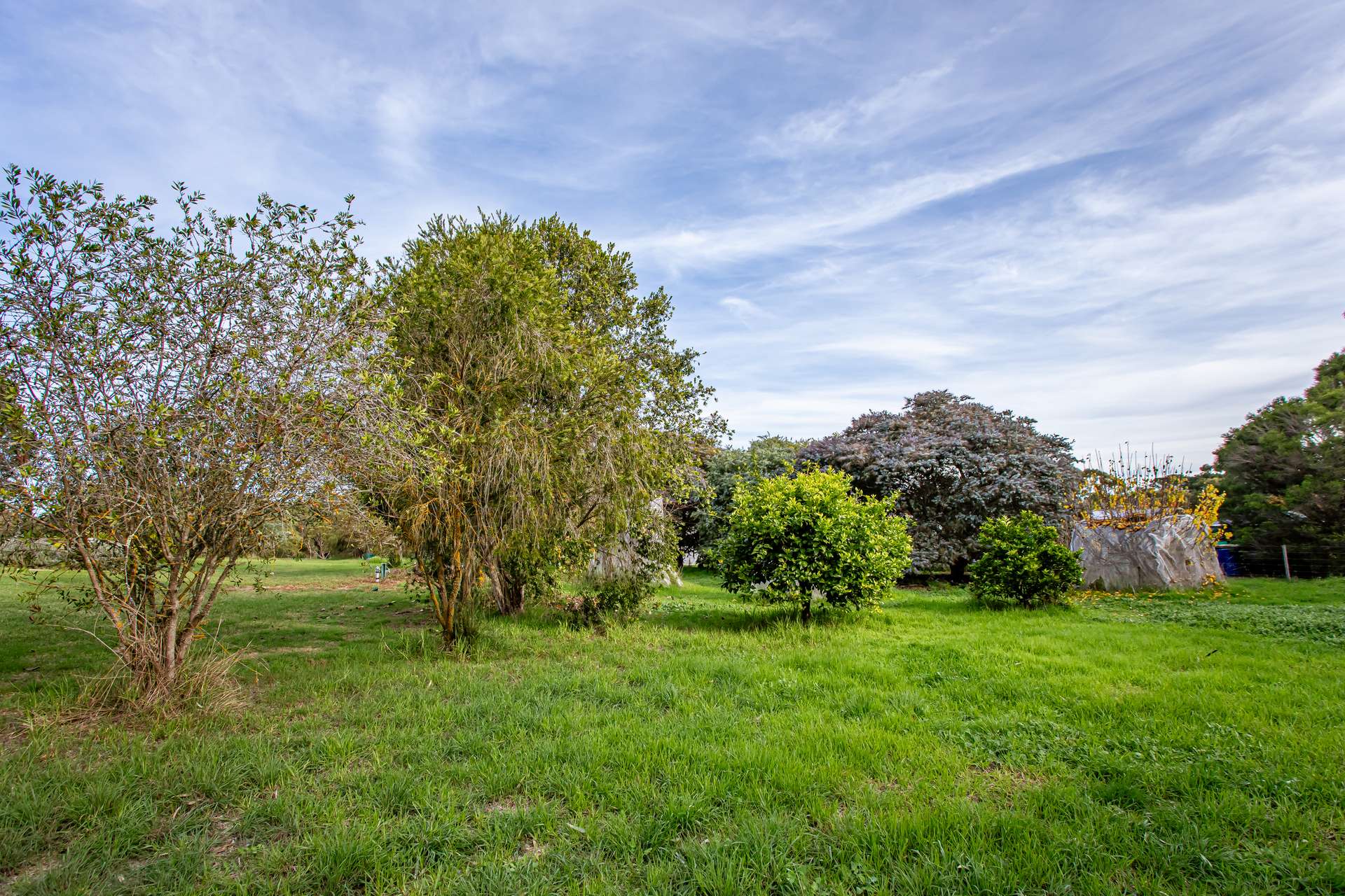 19 Lorimer Road, Naracoorte For Sale by Farmbuy.com - image 16