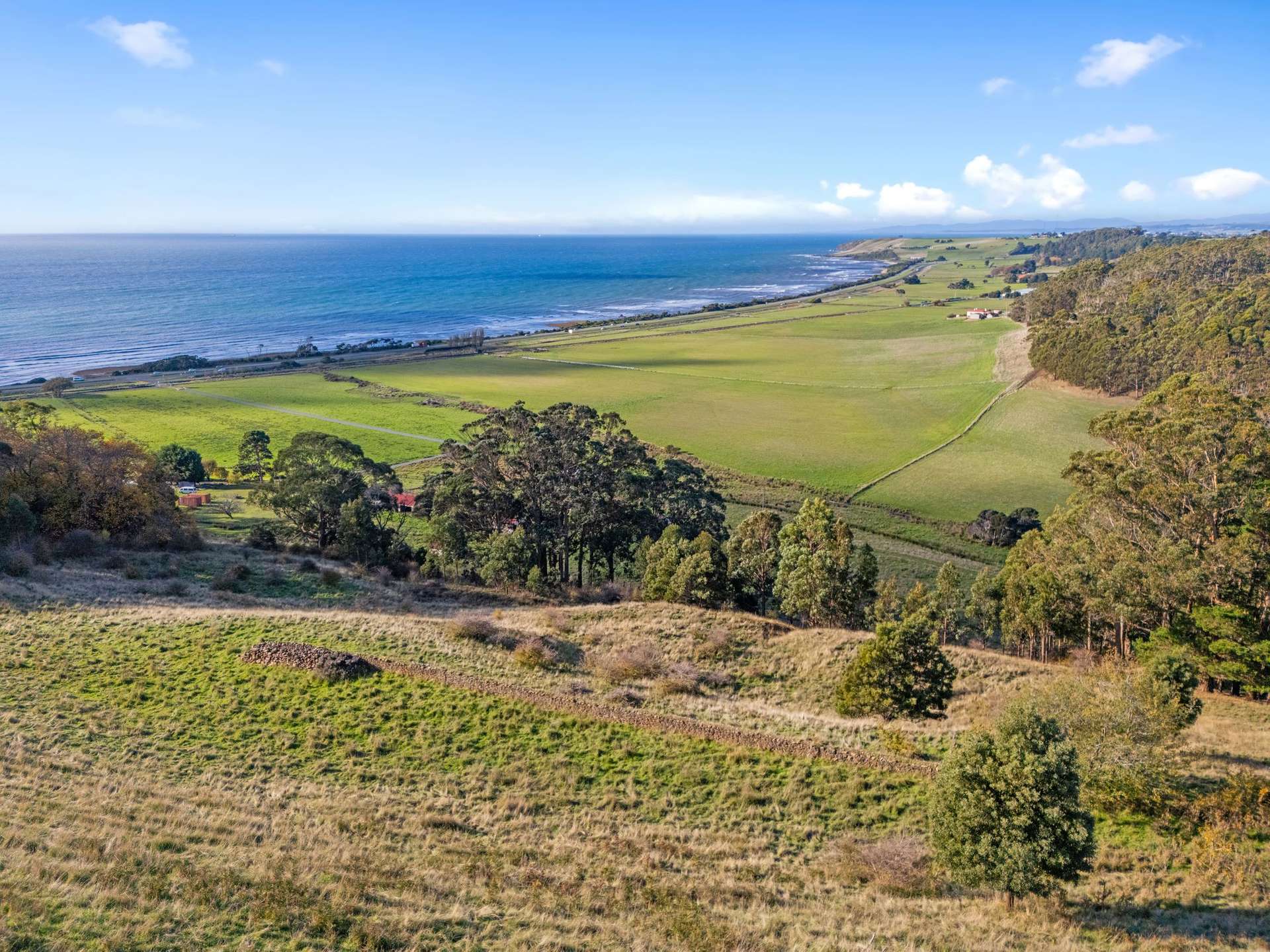 177 Braddons Lookout Road, Leith For Sale by Farmbuy.com - image 10