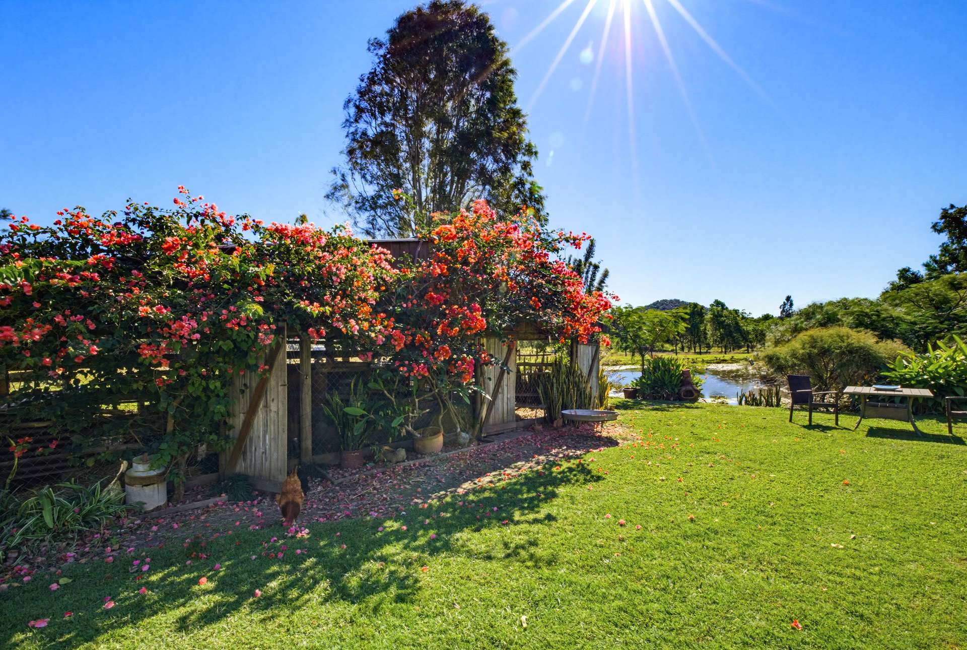 318 Toolborough Road, Yandina Creek For Sale by Farmbuy.com - image 2