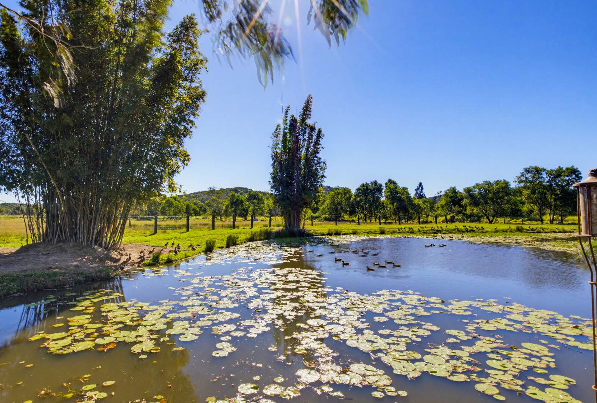 318 Toolborough Road, Yandina Creek For Sale by Farmbuy.com - image 33