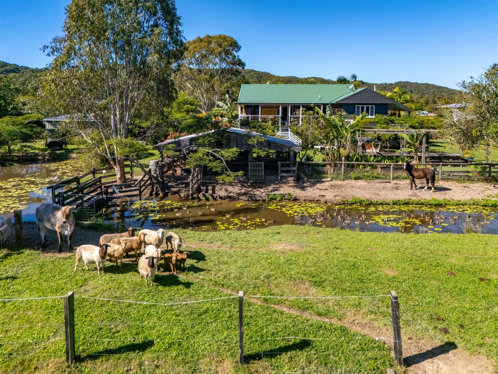 318 Toolborough Road, Yandina Creek For Sale by Farmbuy.com - image 28