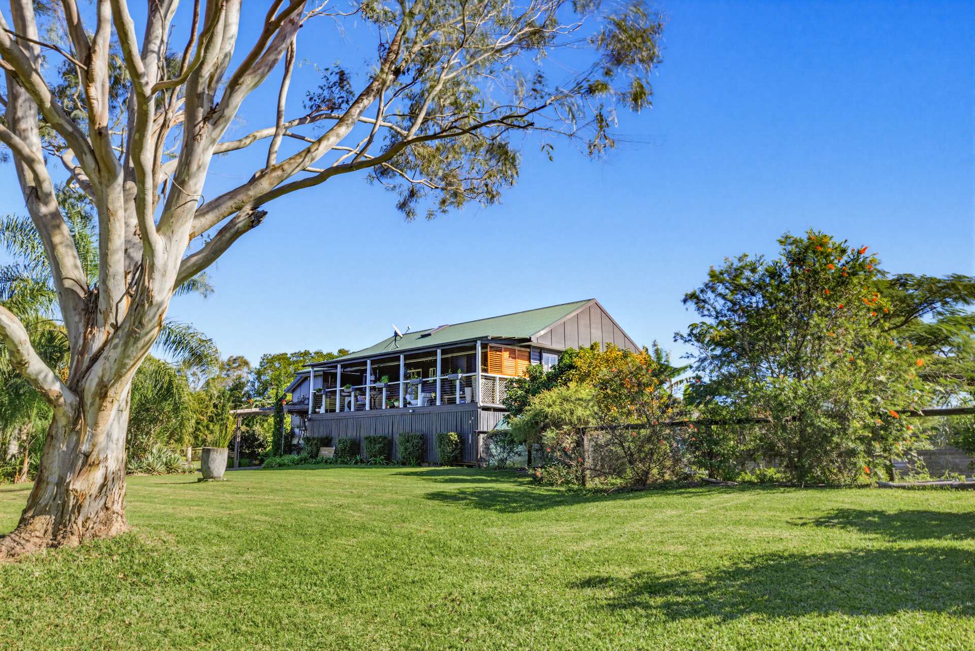 318 Toolborough Road, Yandina Creek For Sale by Farmbuy.com - image 22