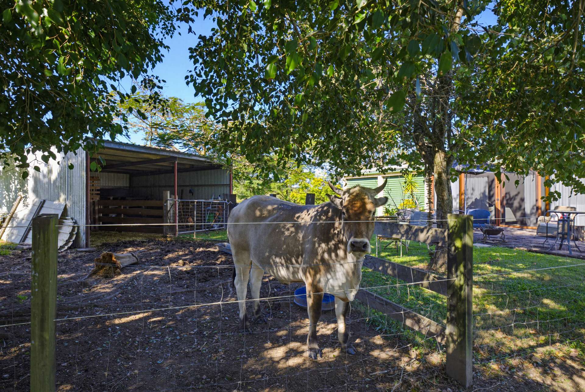 318 Toolborough Road, Yandina Creek For Sale by Farmbuy.com - image 26