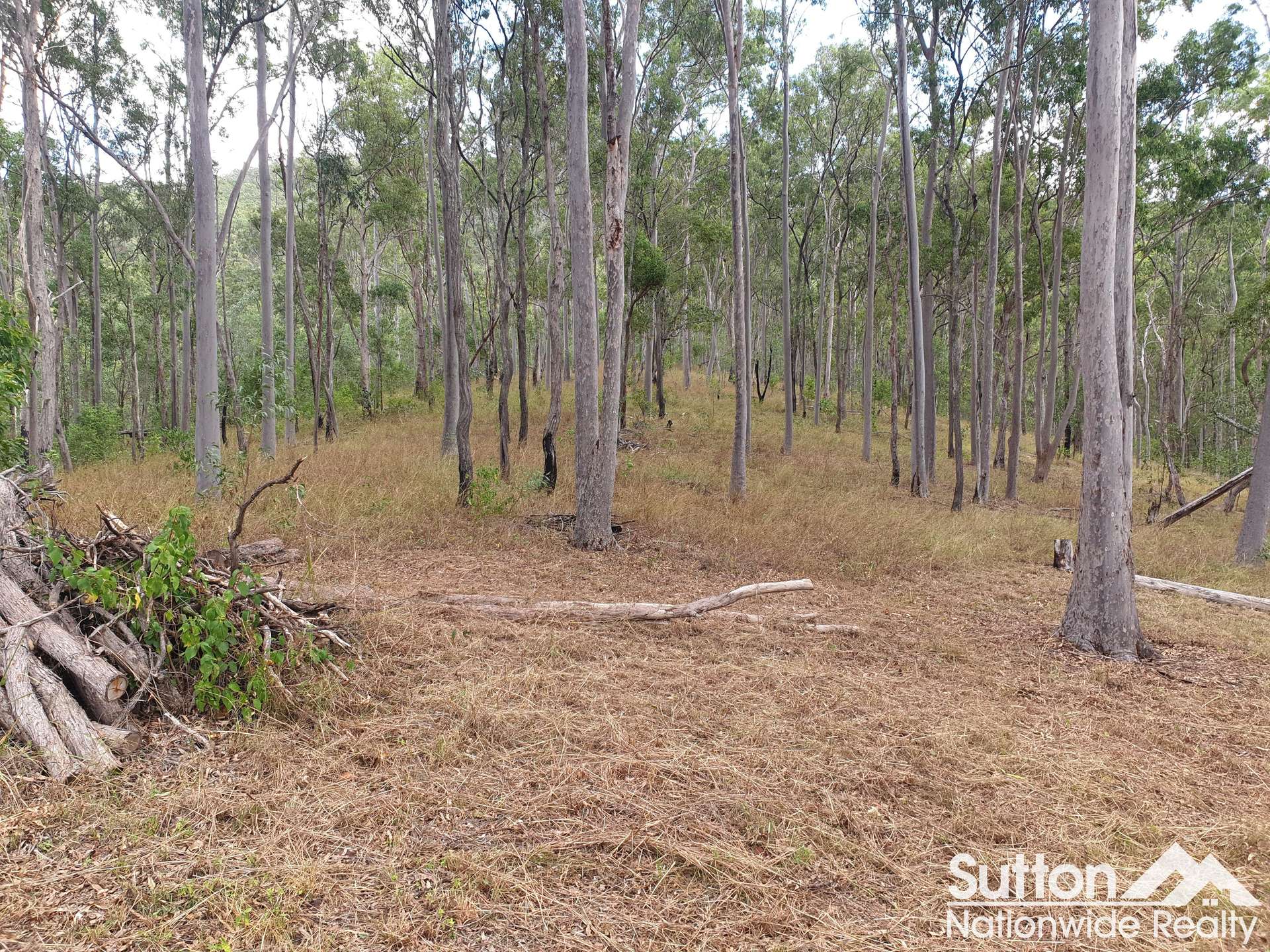 1 Gaeta Road, Gaeta For Sale by Farmbuy.com - image 7