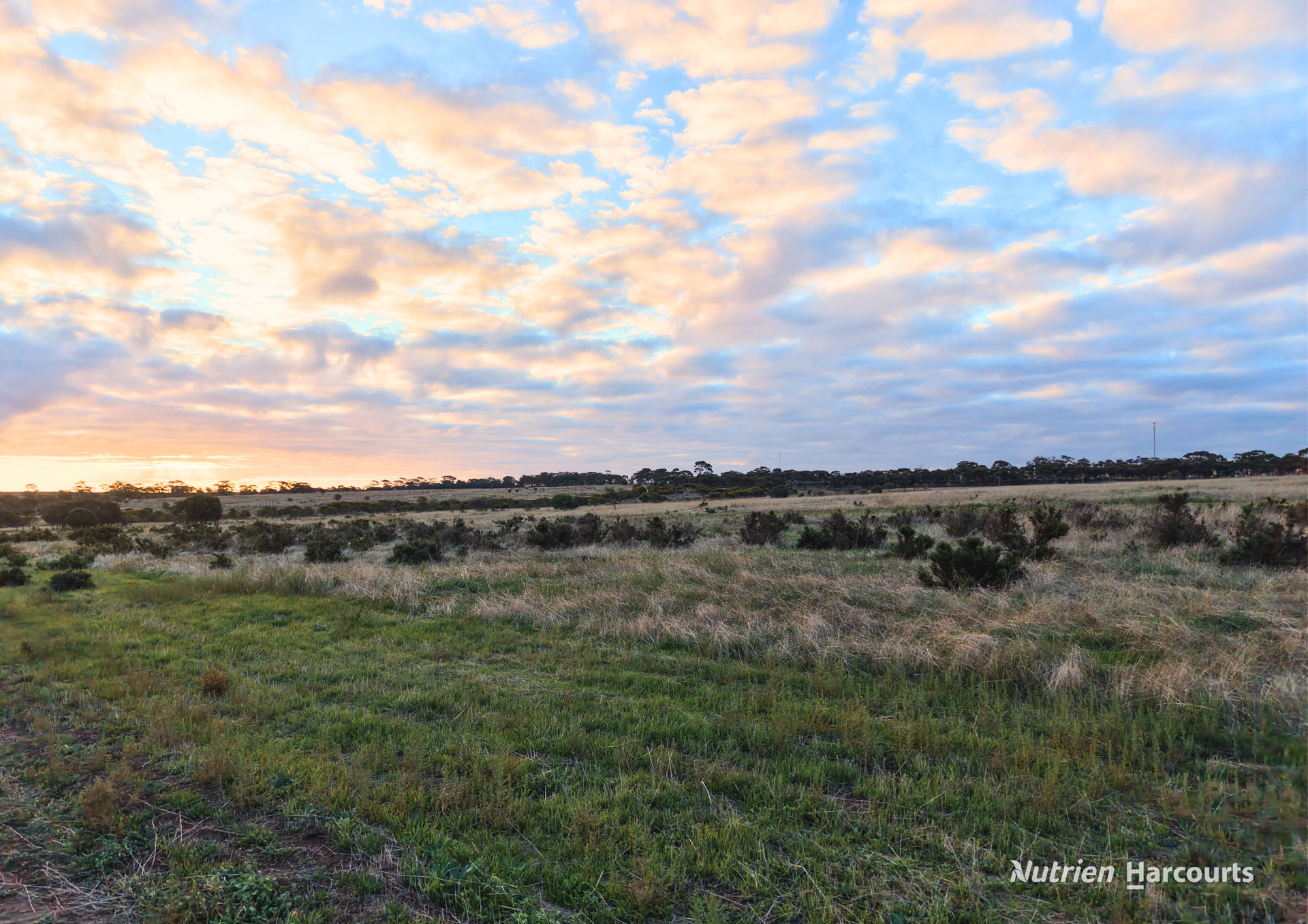 Lot 8101 Goldfields Road, Kellerberrin Sold by Farmbuy.com - image 8