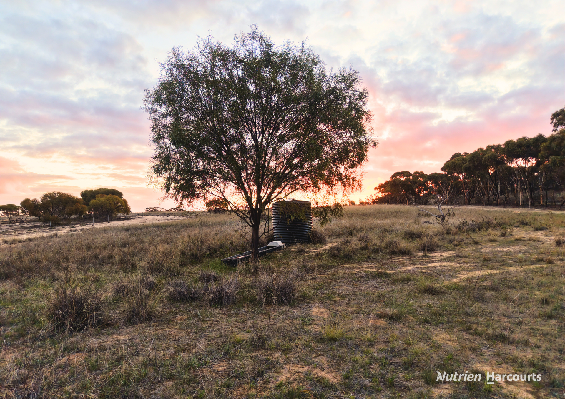 Lot 8101 Goldfields Road, Kellerberrin Sold by Farmbuy.com - image 12