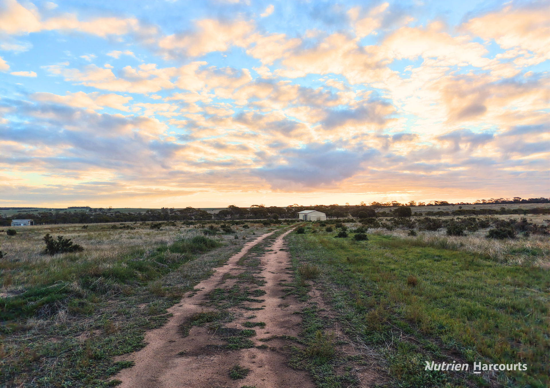 Lot 8101 Goldfields Road, Kellerberrin Sold by Farmbuy.com - image 2