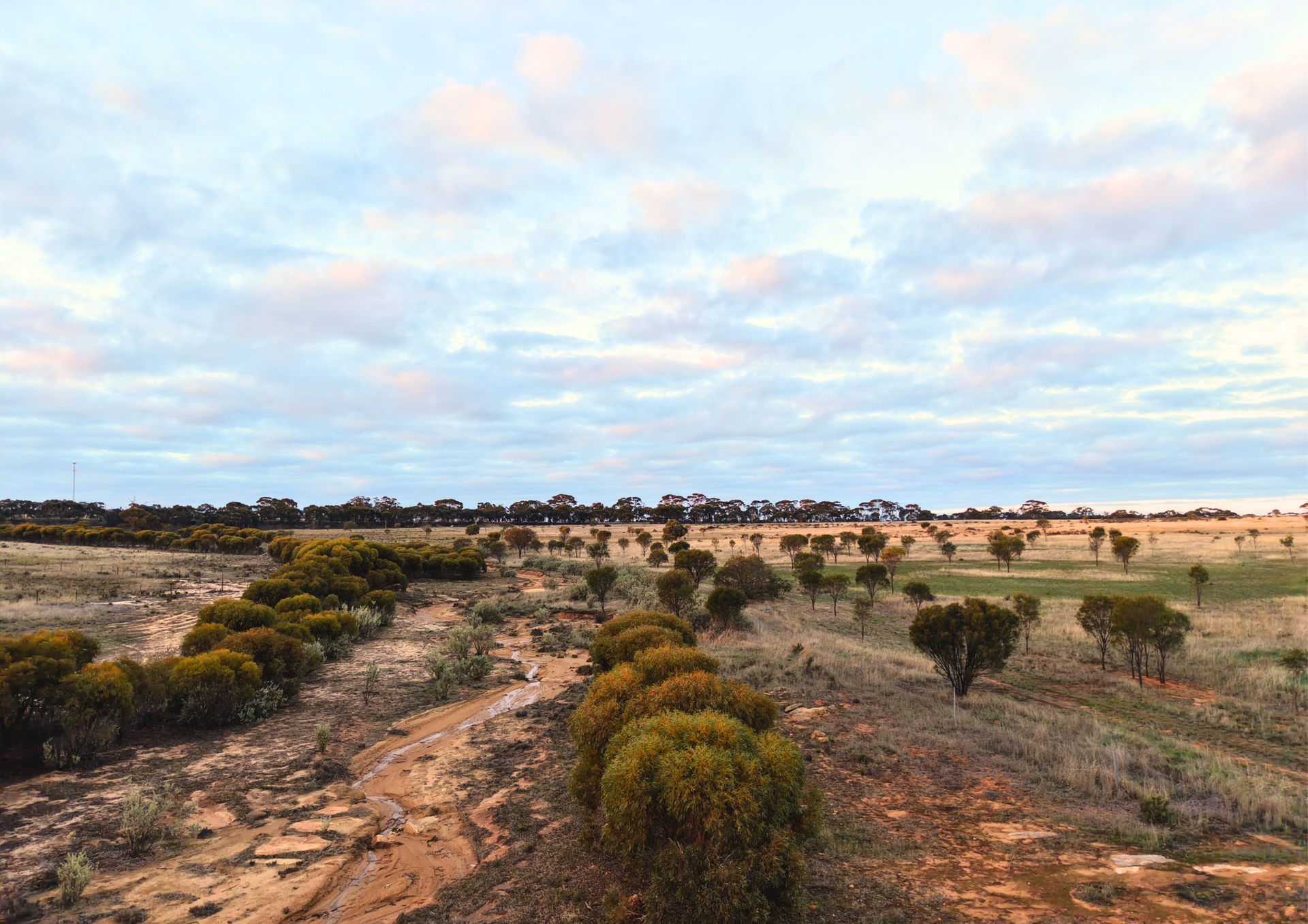 Lot 8101 Goldfields Road, Kellerberrin For Sale by Farmbuy.com - image 11