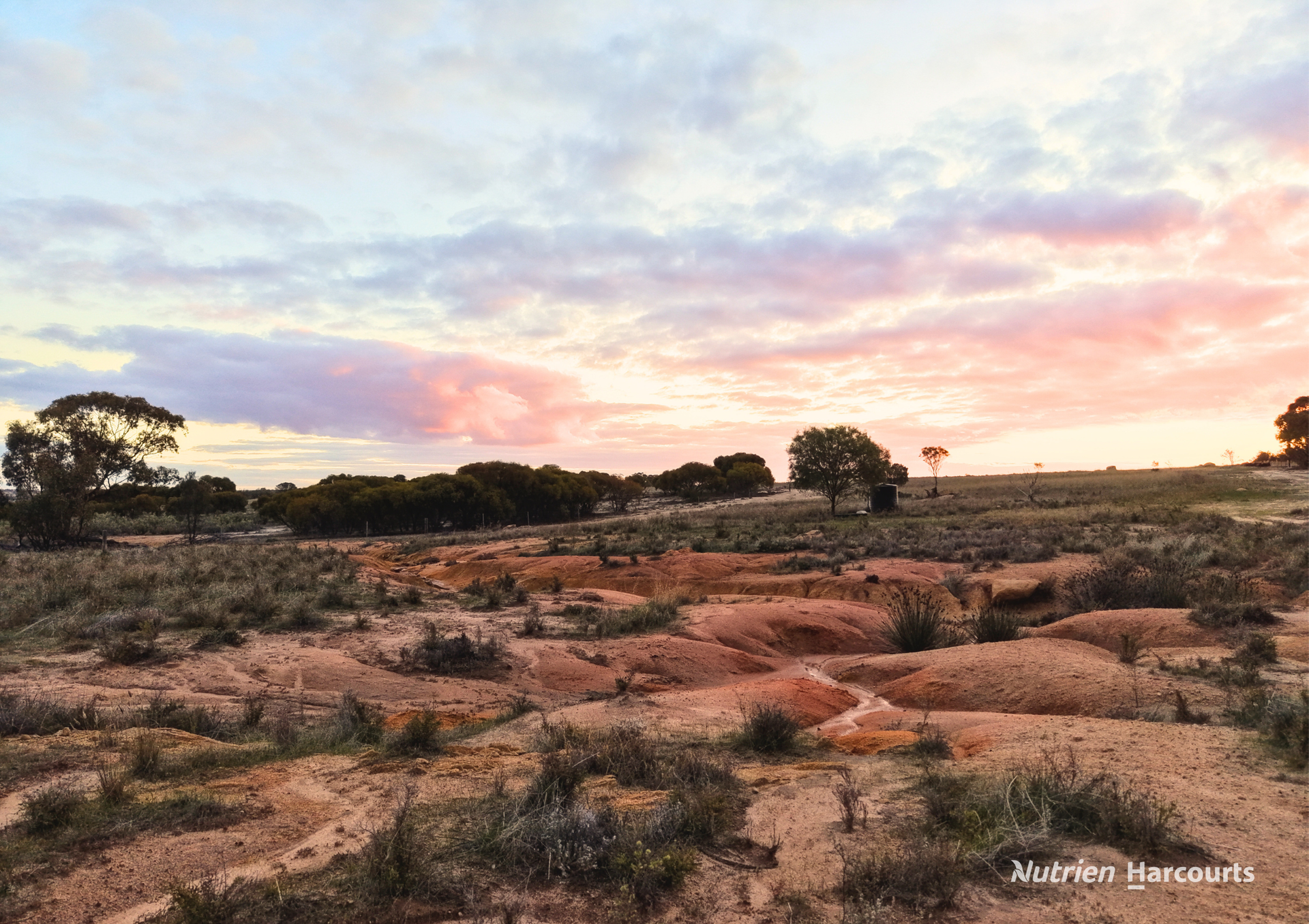 Lot 8101 Goldfields Road, Kellerberrin Sold by Farmbuy.com - image 13