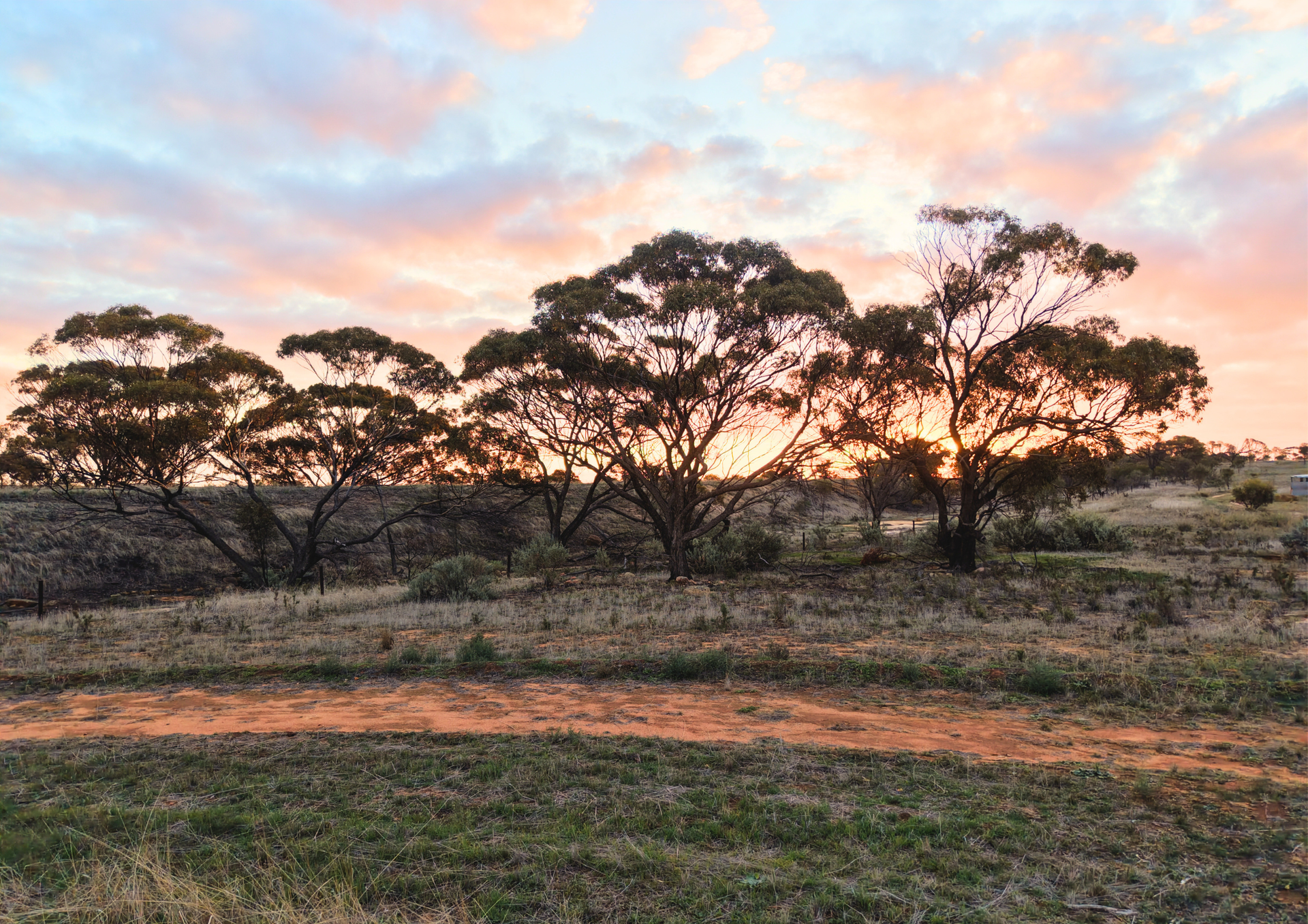 Lot 8101 Goldfields Road, Kellerberrin For Sale by Farmbuy.com - image 10