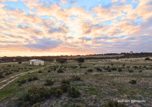 Farm Sold - WA - Kellerberrin - 6410 - 75 ACRES OF RICH WHEATBELT SOILS - GORGEOUS VIEWS, GOOD INFRASTRUCTURE & NATURAL LAND MANAGEMENT 