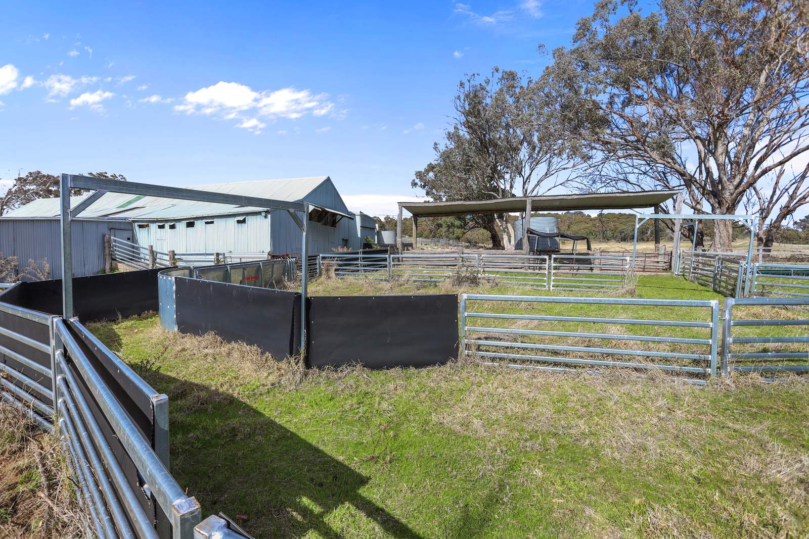 "Roseneath" Roseneath Road, Watsons Creek For Sale by Farmbuy.com - image 21
