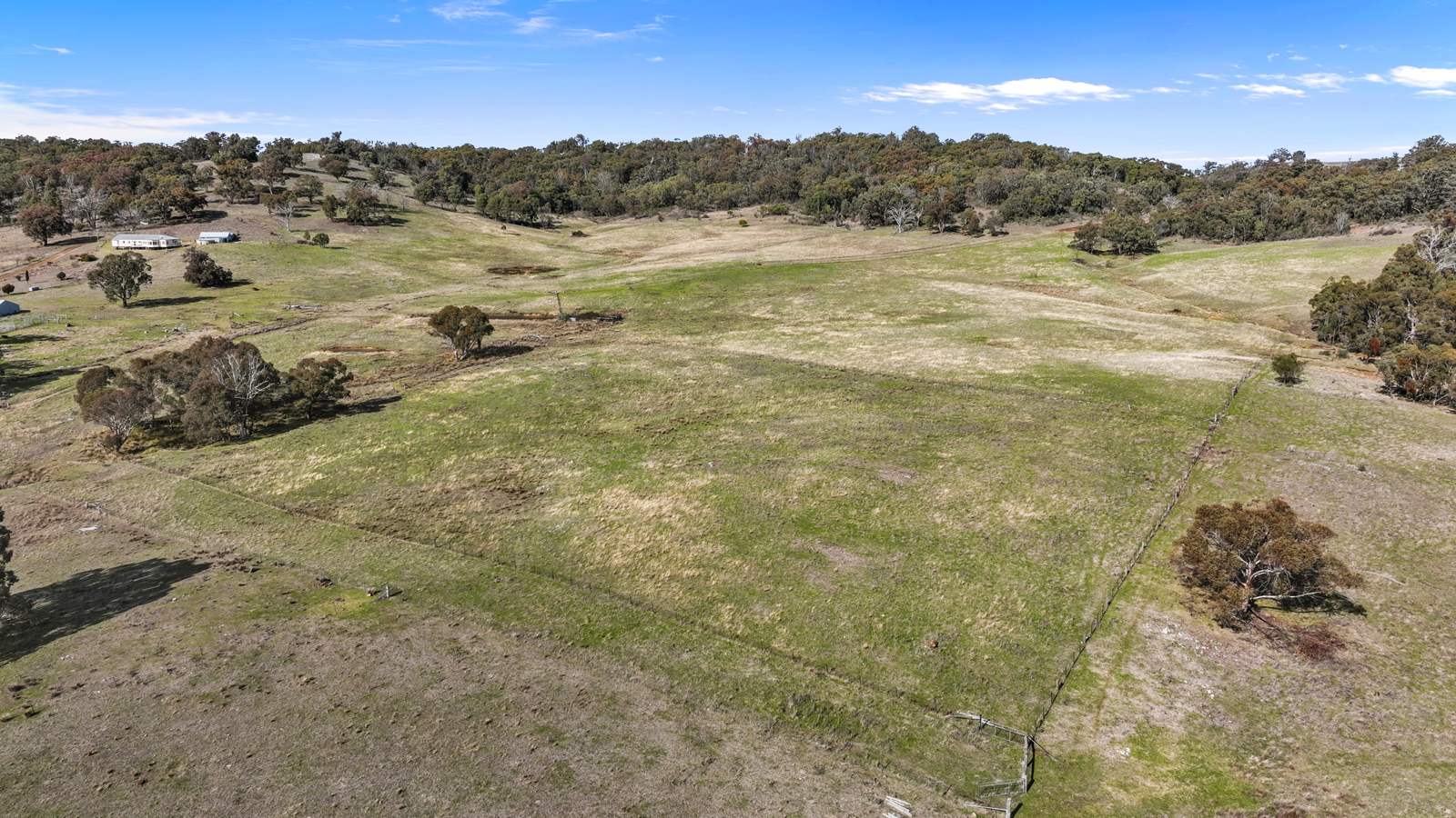 "Roseneath" Roseneath Road, Watsons Creek For Sale by Farmbuy.com - image 12