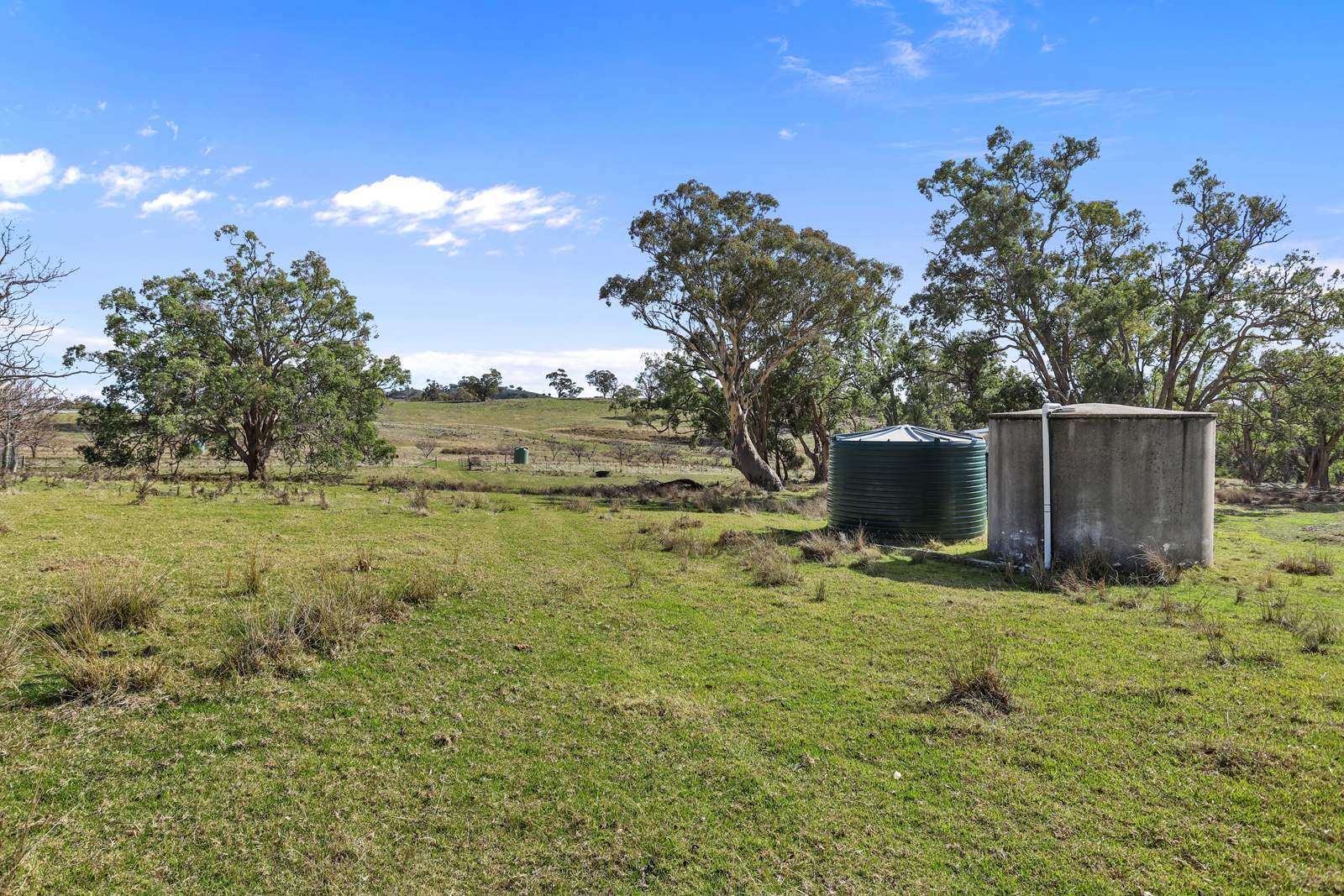 "Roseneath" Roseneath Road, Watsons Creek For Sale by Farmbuy.com - image 19