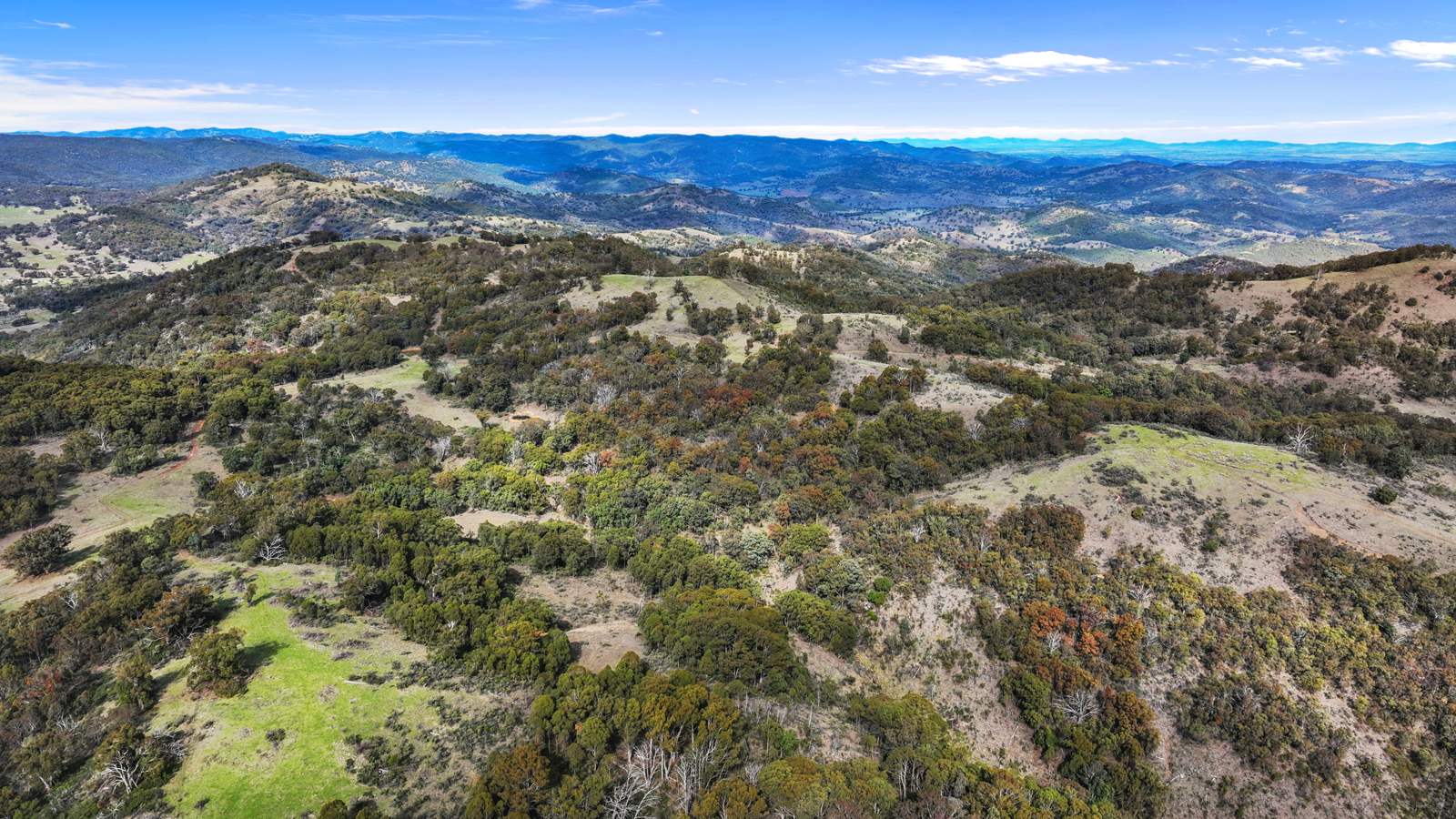 "Roseneath" Roseneath Road, Watsons Creek For Sale by Farmbuy.com - image 27