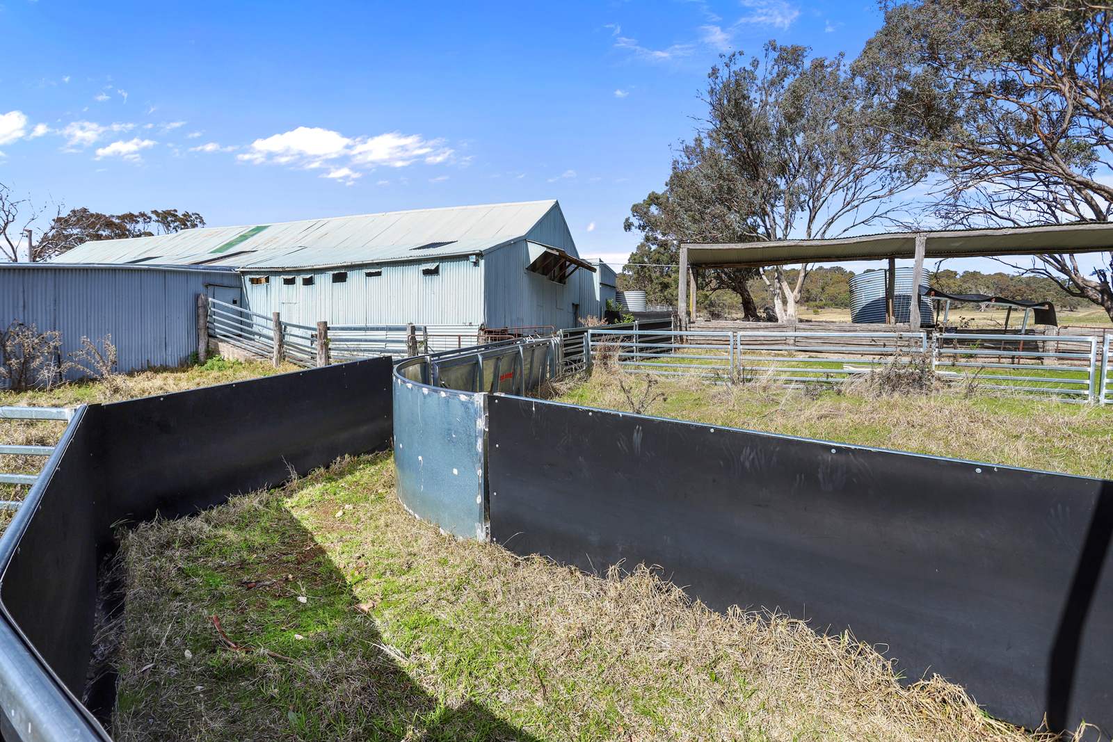 "Roseneath" Roseneath Road, Watsons Creek For Sale by Farmbuy.com - image 20
