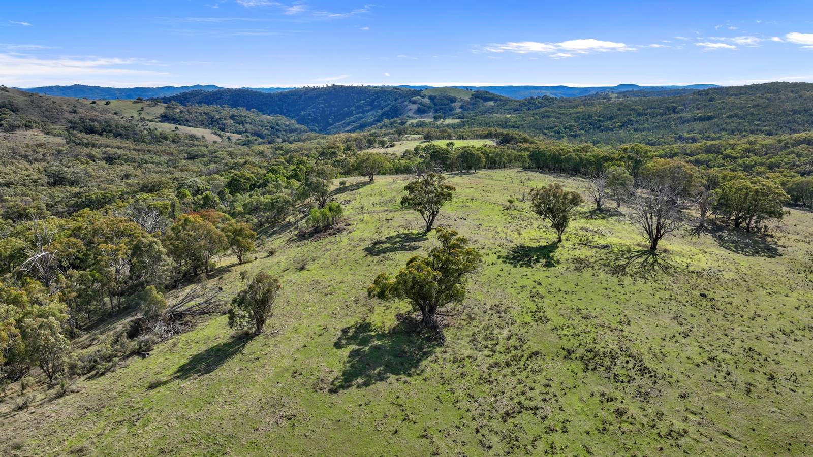 "Roseneath" Roseneath Road, Watsons Creek For Sale by Farmbuy.com - image 11