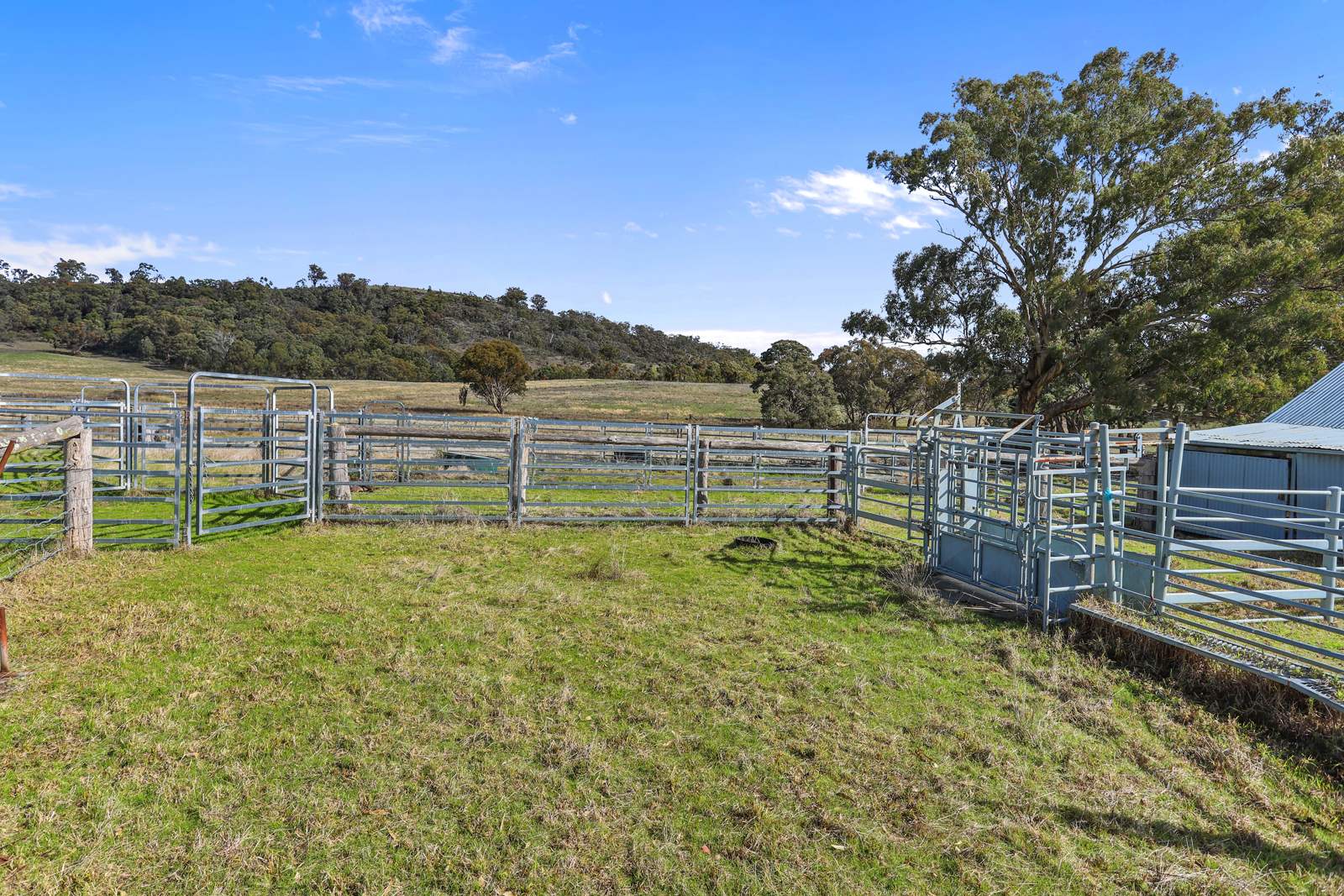 "Roseneath" Roseneath Road, Watsons Creek For Sale by Farmbuy.com - image 13