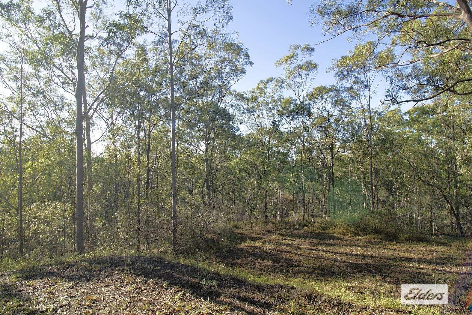 39 Range Crescent, Laidley For Sale by Farmbuy.com - image 17