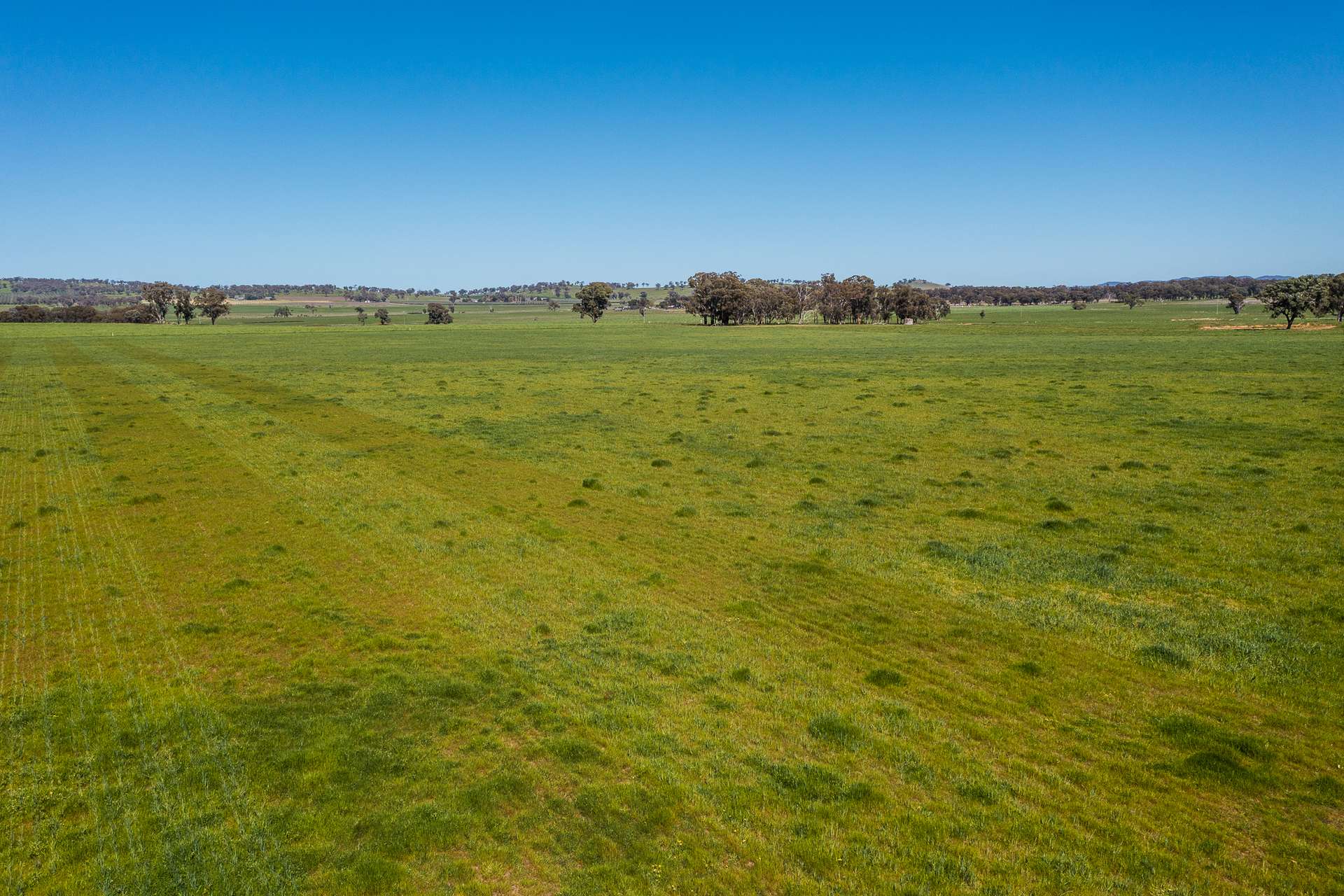 2510 Henry Lawson Drive, Gulgong For Sale by Farmbuy.com - image 13