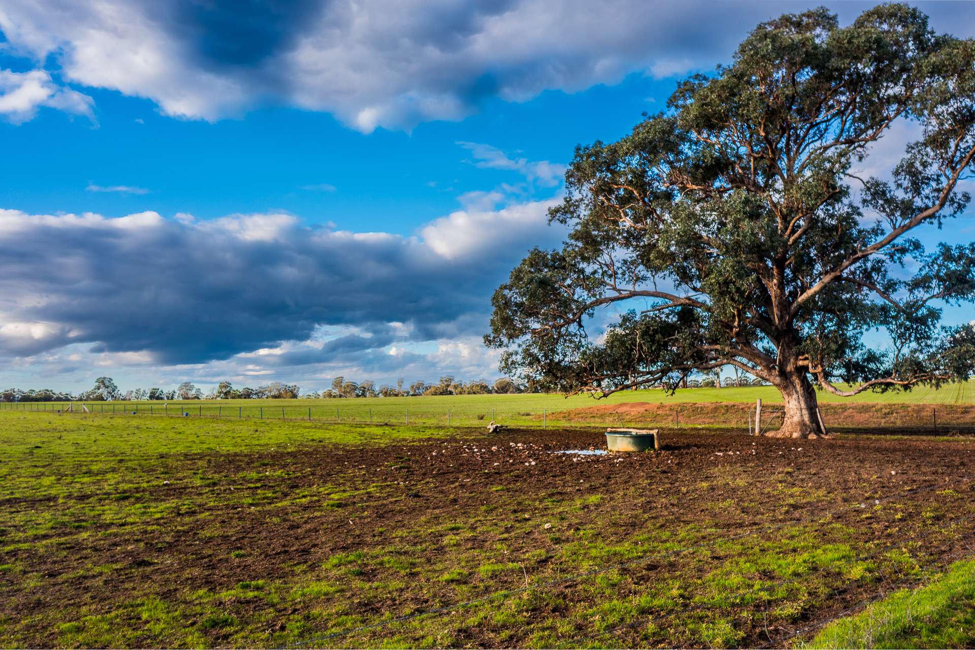 2510 Henry Lawson Drive, Gulgong For Sale by Farmbuy.com - image 11