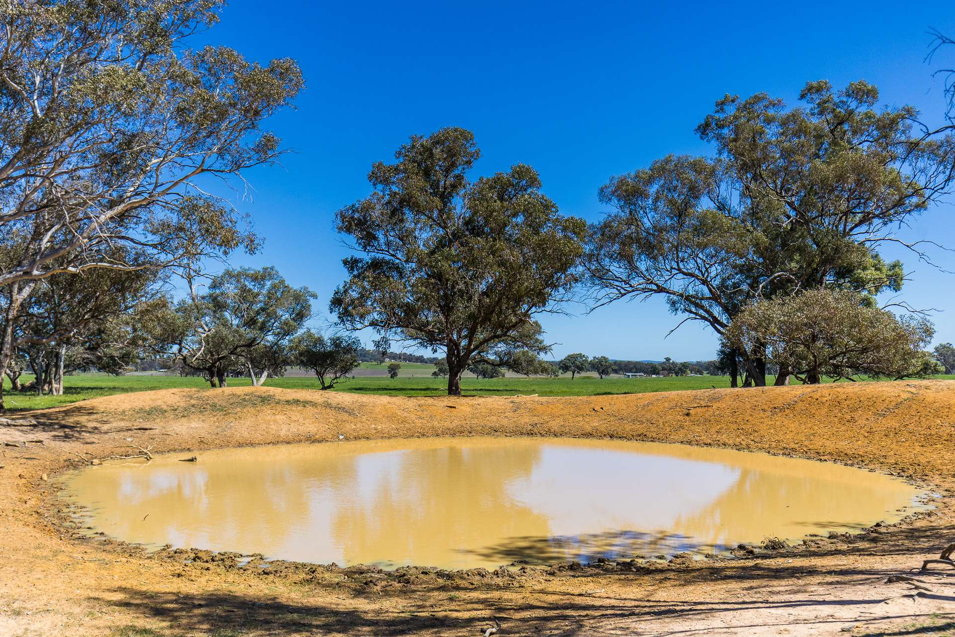 2510 Henry Lawson Drive, Gulgong For Sale by Farmbuy.com - image 9