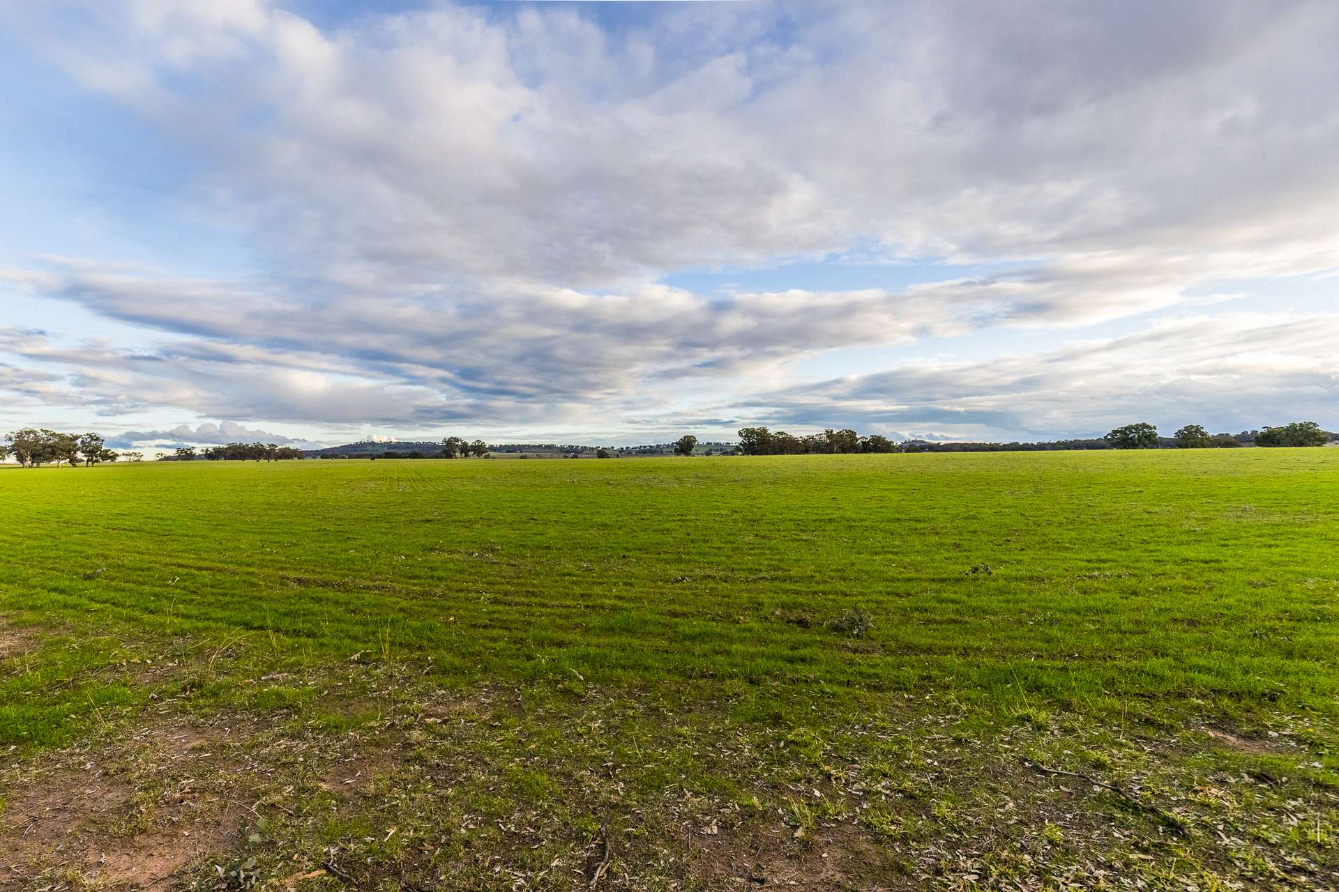 2510 Henry Lawson Drive, Gulgong For Sale by Farmbuy.com - image 17