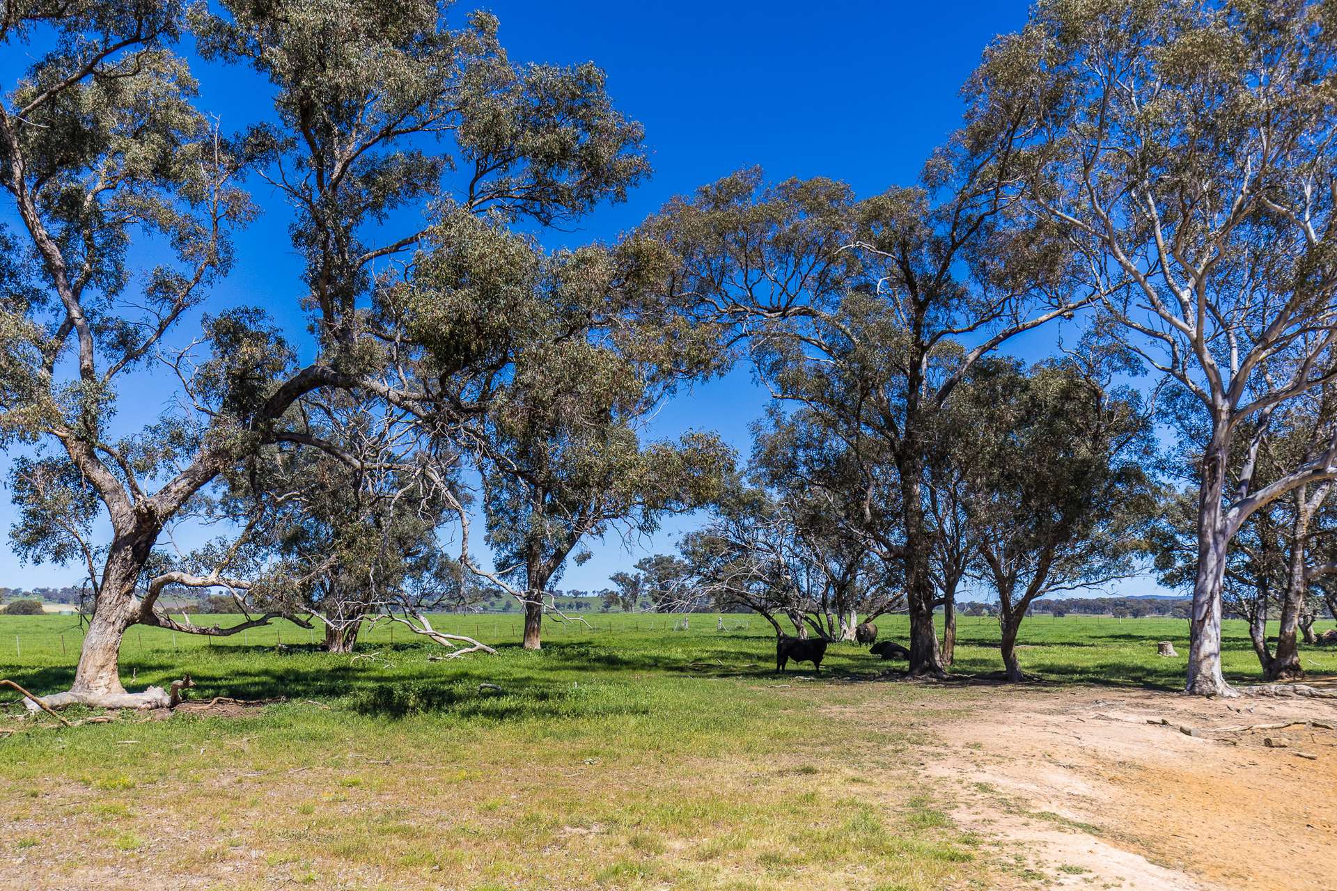 2510 Henry Lawson Drive, Gulgong For Sale by Farmbuy.com - image 11