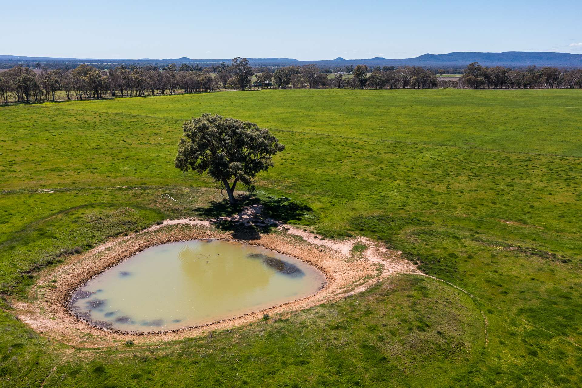 2510 Henry Lawson Drive, Gulgong For Sale by Farmbuy.com - image 4